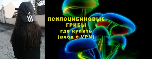 спайс Арсеньев
